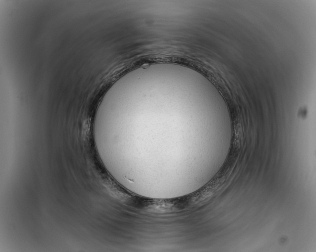 X0000099420278200805301413