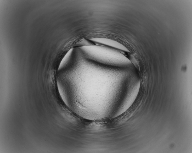 X0000099420280200805301414