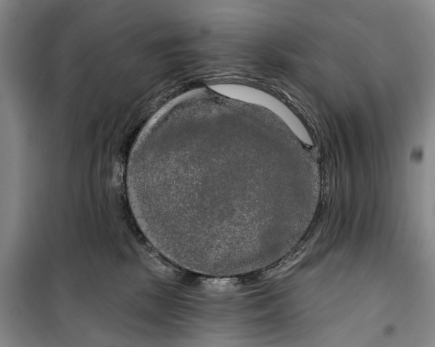 X0000099420281200805301414