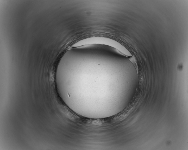 X0000099420282200805301414