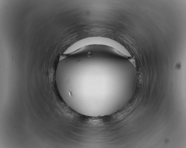 X0000099420283200805301414