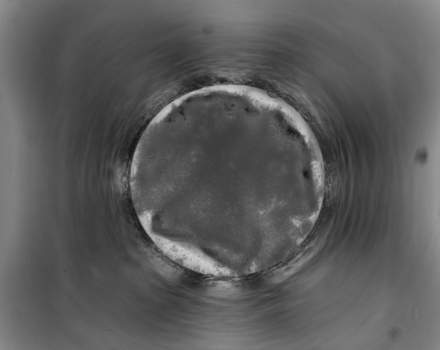 X0000099420285200805301414