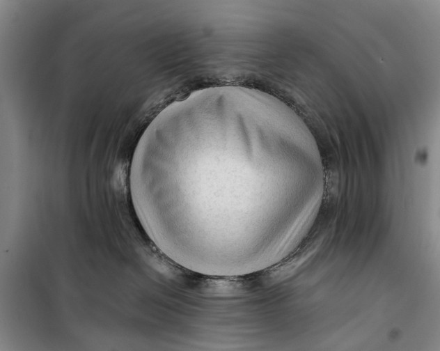 X0000099420286200805301414