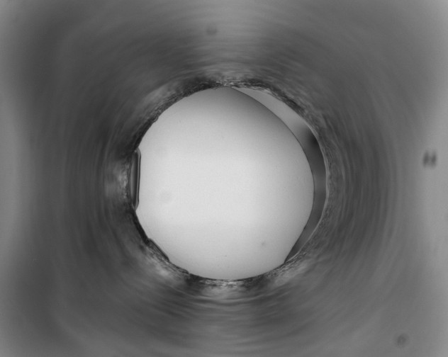 X0000099420288200805301414