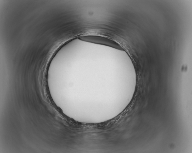 X0000099420289200805301413