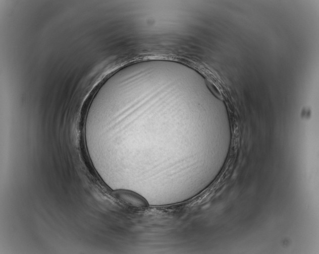 X0000099420290200805301413