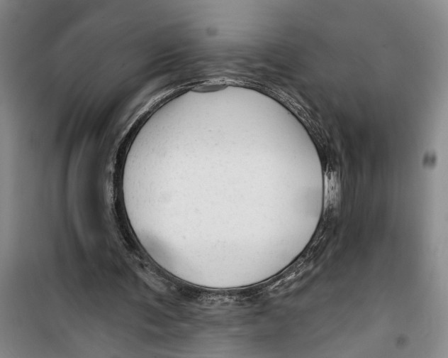 X0000099420291200805301413