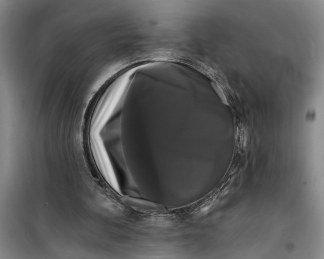 X0000099420292200805301413