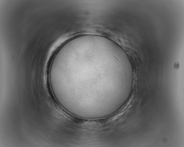 X0000099420294200805301413