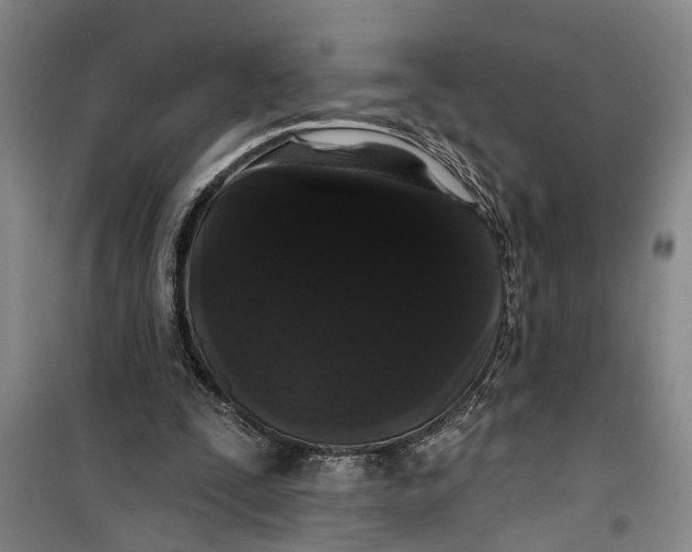 X0000099420295200805301413