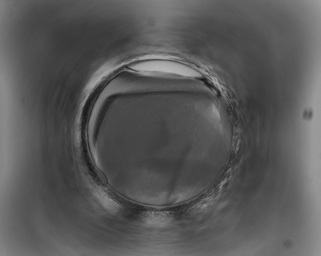 X0000099420296200805301413