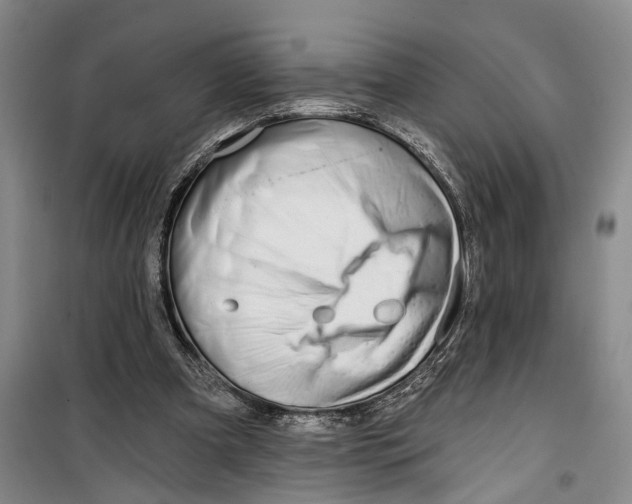 X0000099420297200805301413