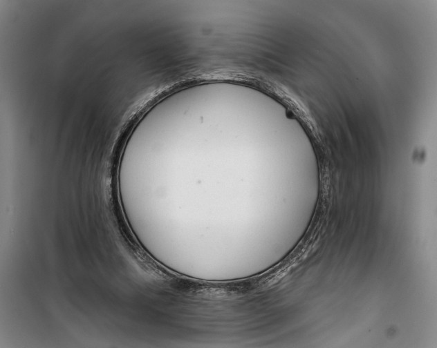 X0000099420298200805301413