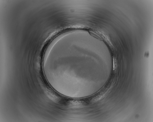 X0000099420300200805301413