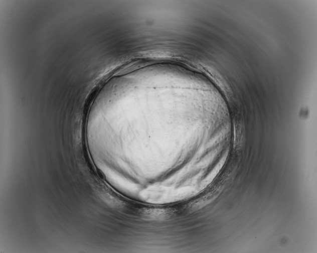 X0000099420301200805301413