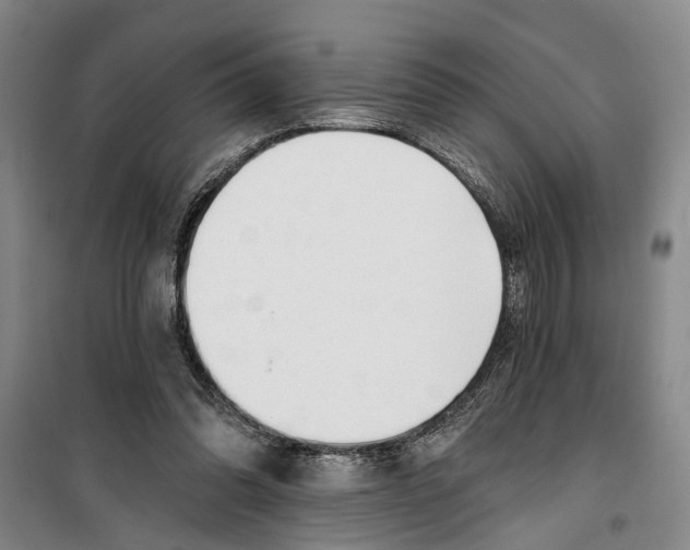 X0000099420302200805301413