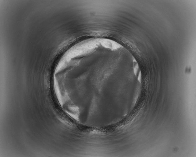 X0000099420303200805301413