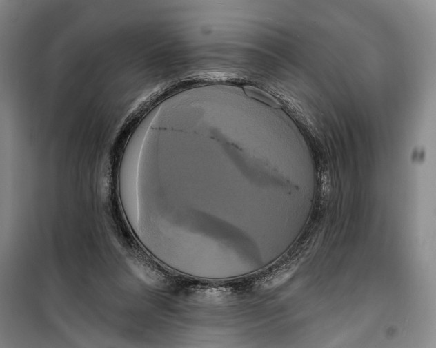 X0000099420304200805301413