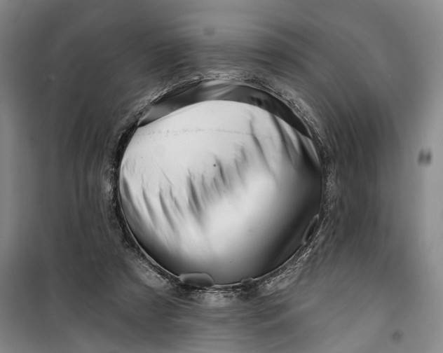 X0000099420305200805301413