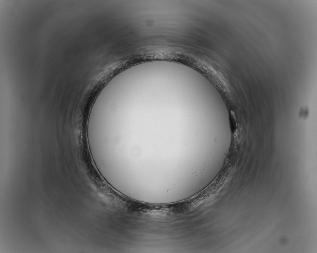 X0000099420306200805301413