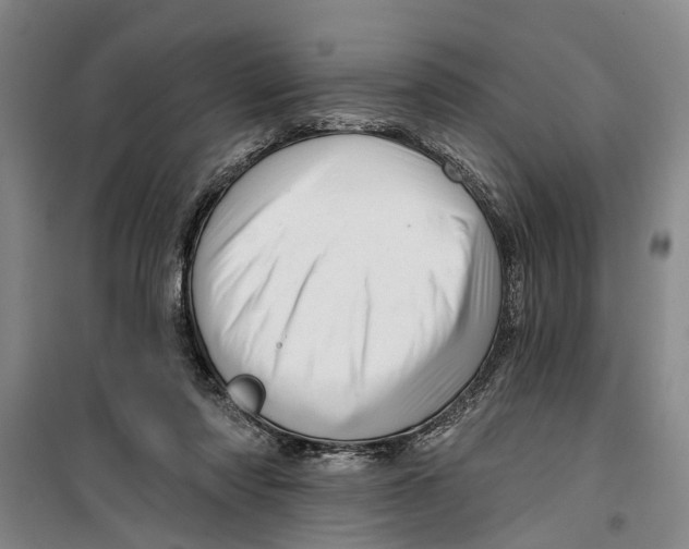 X0000099420310200805301413