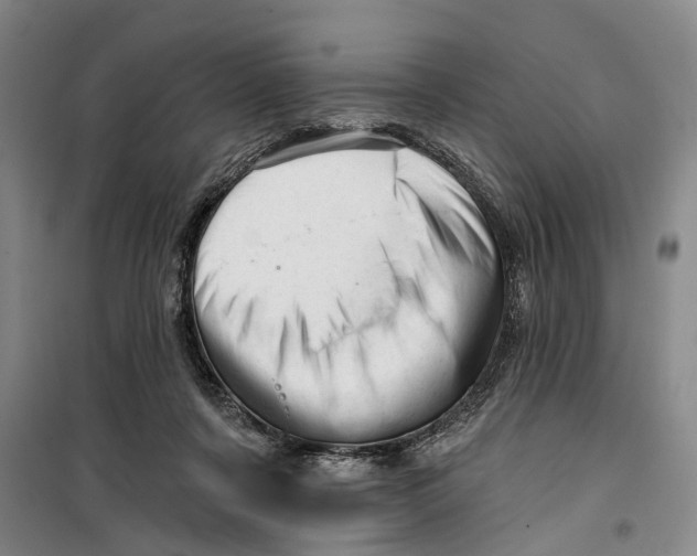 X0000099420311200805301413