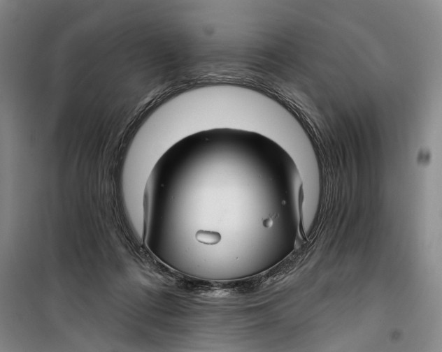 X0000099420312200805301413