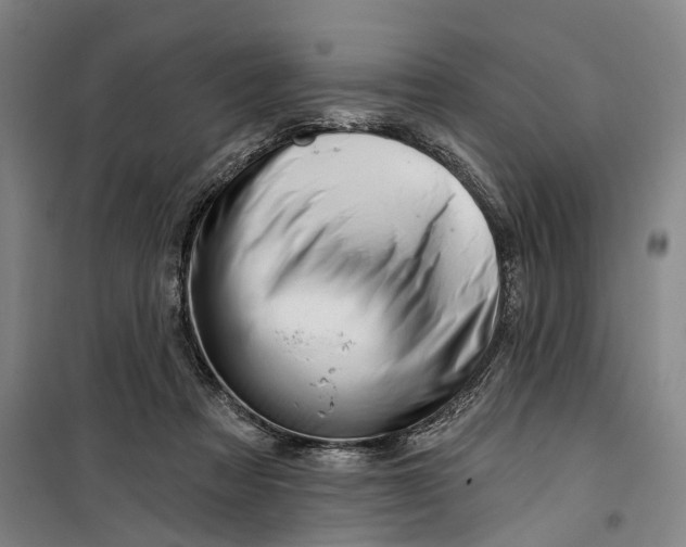 X0000099420313200805301413