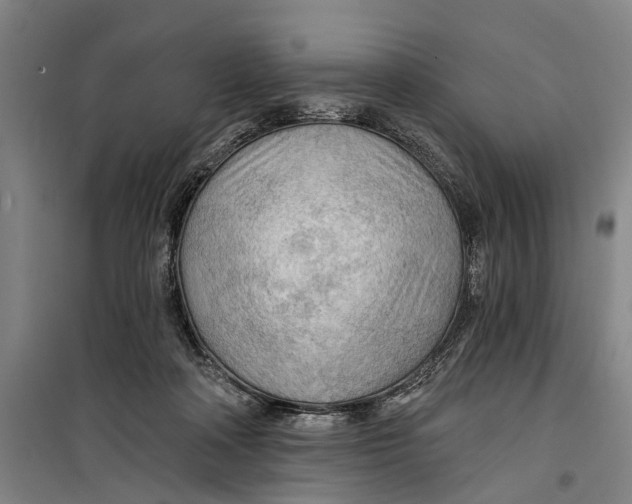 X0000099420314200805301413