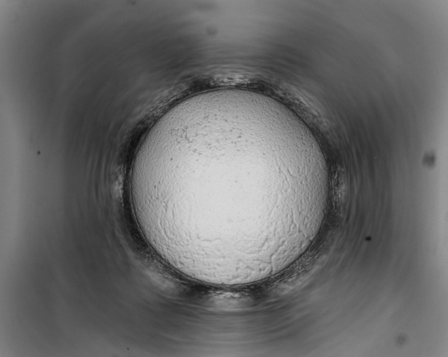 X0000099420315200805301413