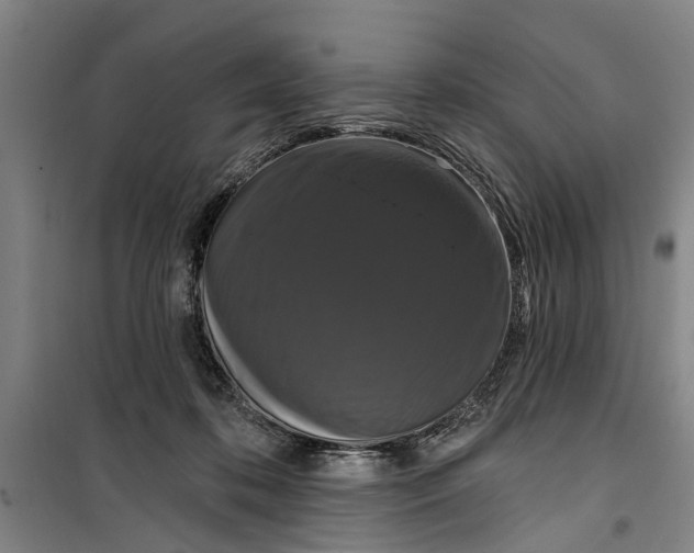 X0000099420316200805301413