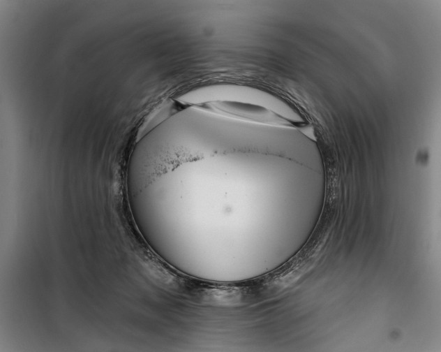 X0000099420317200805301413