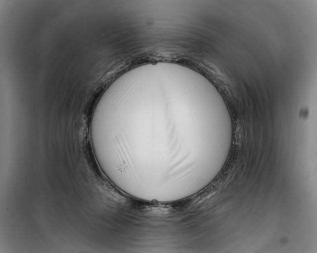 X0000099420318200805301413