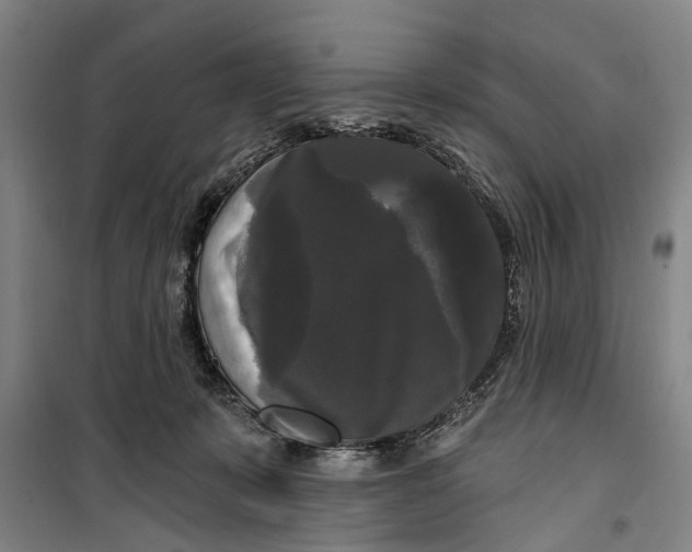 X0000099420319200805301413