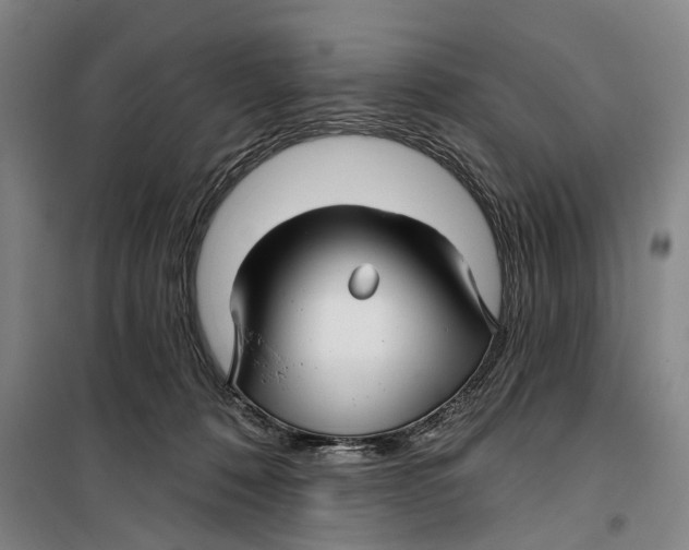 X0000099420320200805301413