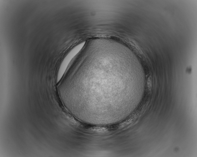 X0000099420322200805301413