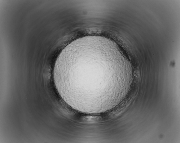 X0000099420323200805301413