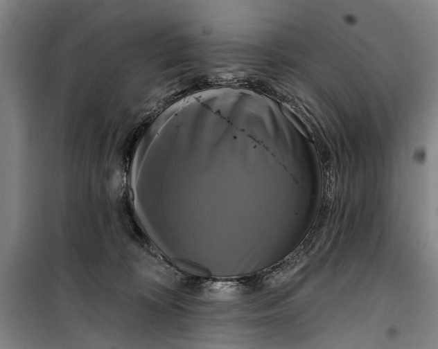 X0000099420324200805301412