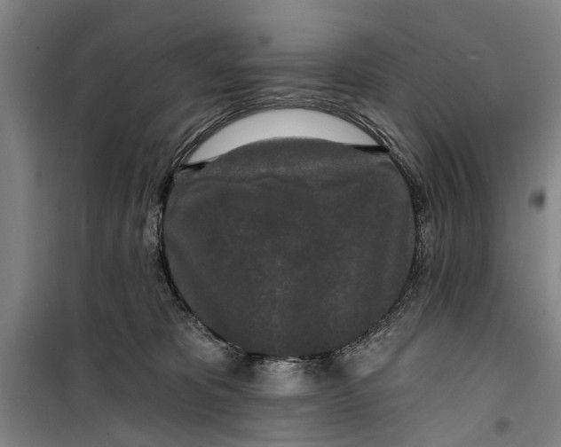 X0000099420325200805301412