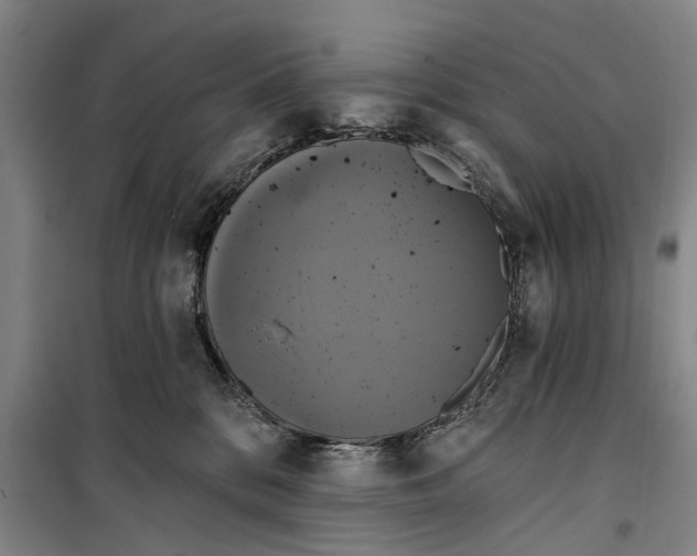 X0000099420328200805301412