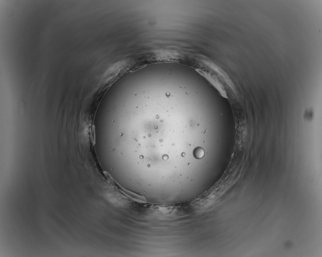 X0000099420329200805301412