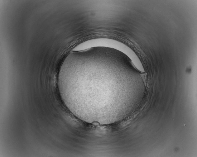 X0000099420330200805301412