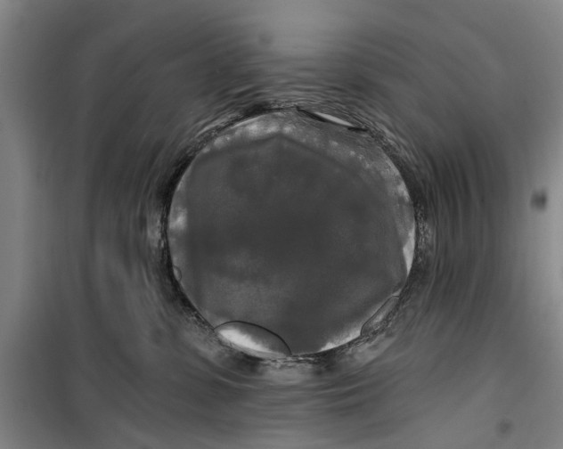 X0000099420331200805301412