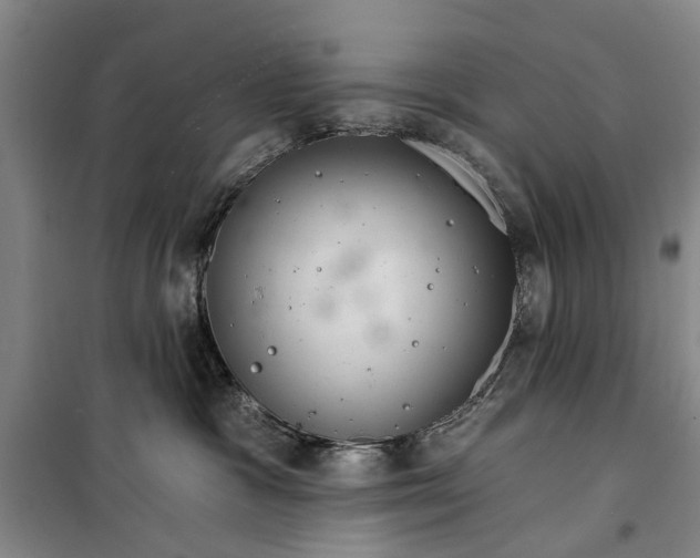 X0000099420333200805301412