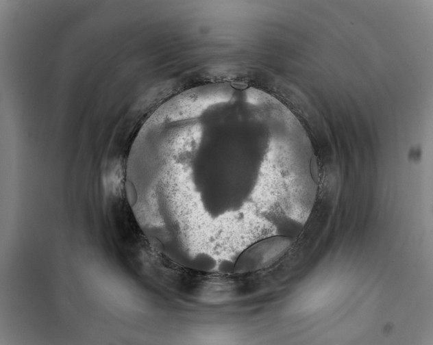 X0000099420335200805301412