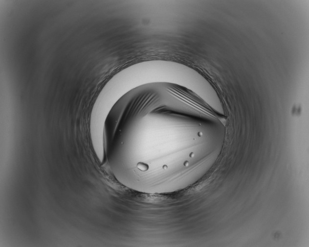 X0000099420336200805301412