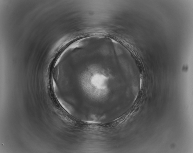 X0000099420339200805301412