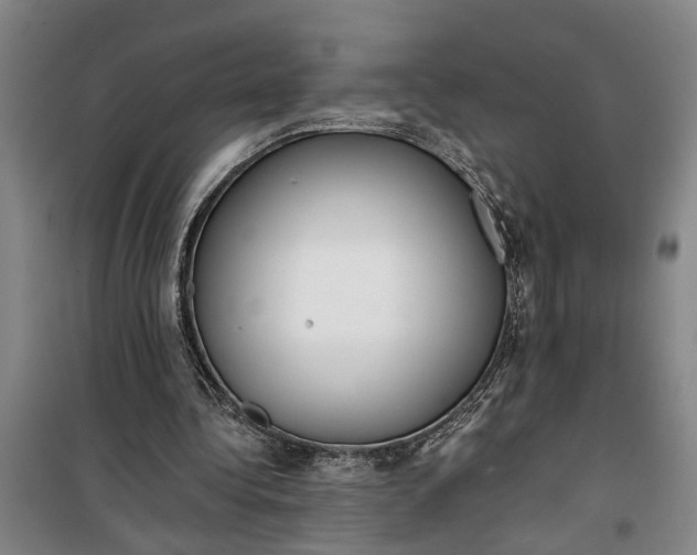 X0000099420340200805301412