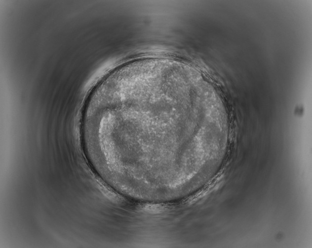 X0000099420341200805301412