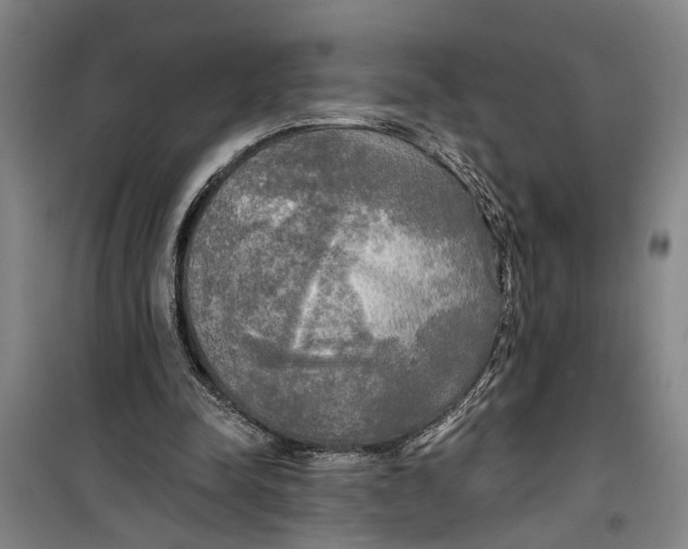 X0000099420342200805301412